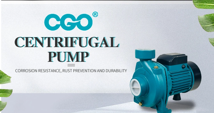 Modern Design 1HP Cgo High Quality Favorable Price Standard Motor Transfer Centrifugal Clean Water Pumps