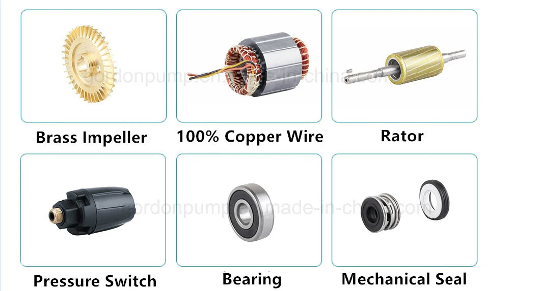 Commercial Electric Automatic Hot and Cold Water Sucker Pump